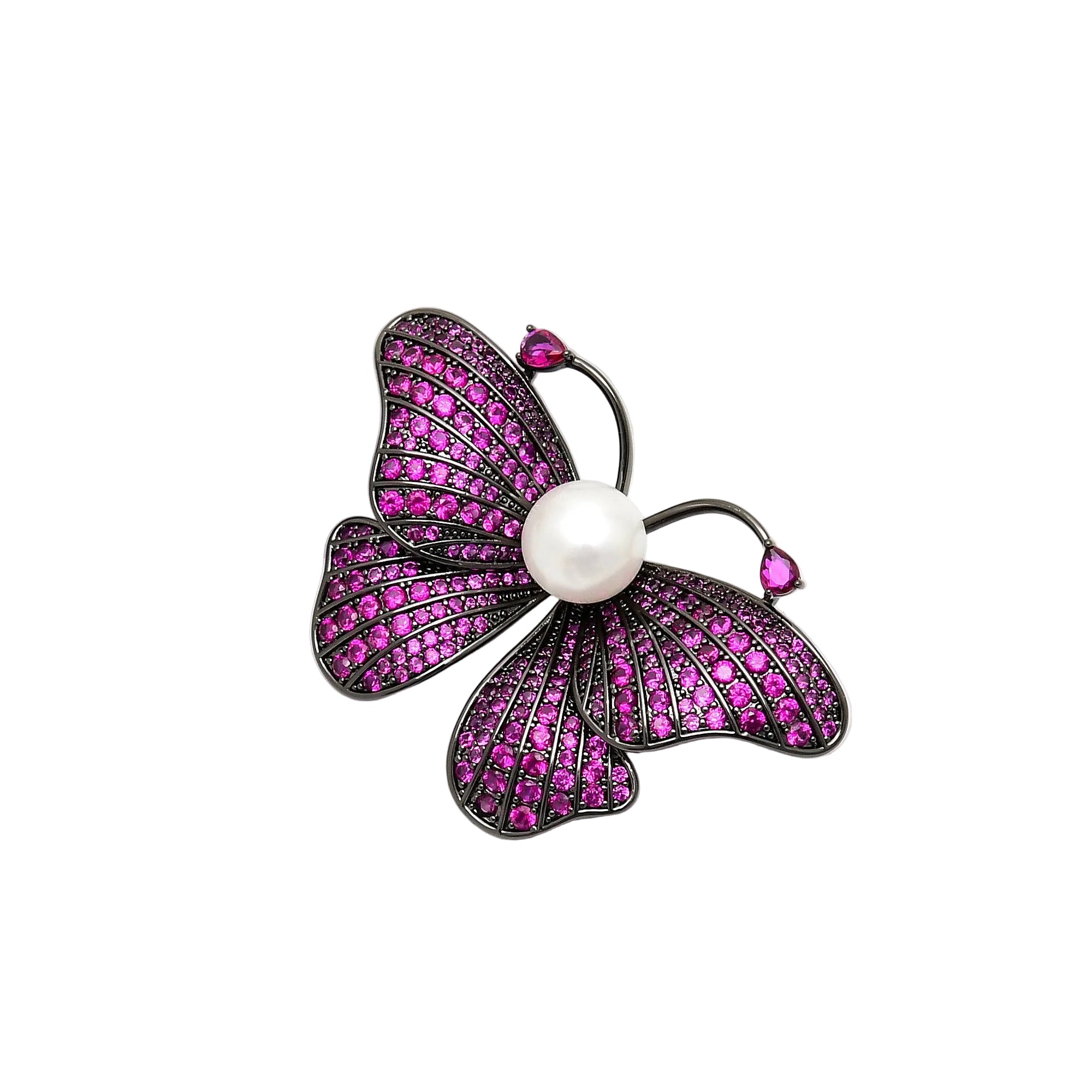 Pappilon Brooch 🦋